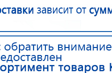 ДЭНАС-ПКМ (13 программ) купить в Киселевске, Аппараты Дэнас купить в Киселевске, Дэнас официальный сайт denasolm.ru